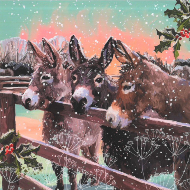 Primary image for UCLH Charity Christmas card - Donkeys in the snow
