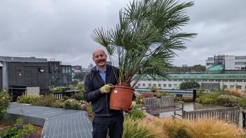 Clive Pankhurst with plant International Day of Volunteering 5 Dec 2023